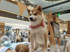 -银隆百货(萧山店)