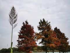 -长广溪湿地公园