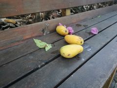 -晓雯人家
