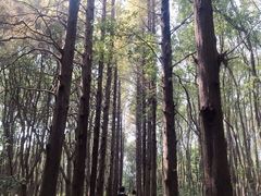 -同里国家湿地公园