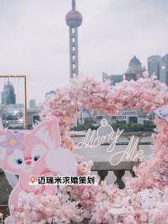 -迈瑞米求婚策划(静安店)