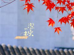 -秋霞圃