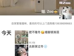-喵zoo家庭繁育猫舍(尖东智能花园店)
