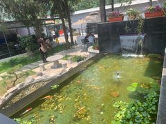 -蘇河湾·新鲁菜·泰山宴(泰山店)