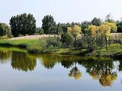 -东郊湿地公园