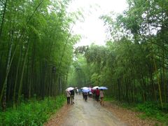 -黄公望隐居地