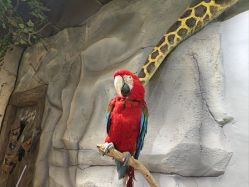 -Zoolung Zoolung动物主题公园(海信广场店)