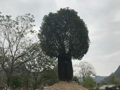 -Club Med地中海俱乐部·桂林度假村