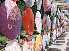 -野鸭湖国家湿地公园