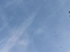 -阅海欢乐岛