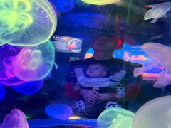 -太平洋海底世界