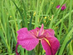 -贵阳市花溪国家城市湿地公园
