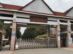 -上海都市菜园