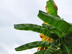 -西双版纳总佛寺