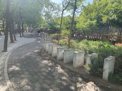 -北京麋鹿生态实验中心