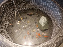 -福茂源横山铁锅羊肉(牡丹园店)