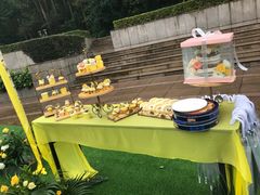 -南国桃园旅游度假区