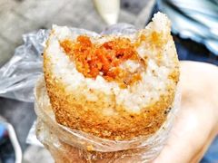 -范嬢嬢春森路糯米团