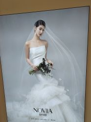 -金夫人婚纱摄影(总店)