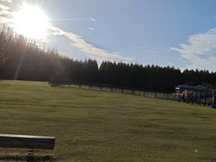 -黄海国家森林公园