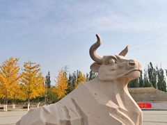 -永定河休闲森林公园