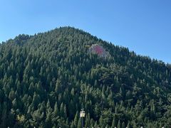 -龙口南山旅游景区