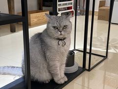 -Oasis绿洲银饰珍珠手作diy(壹方城店)