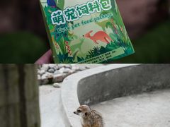 -呀路古热带植物园