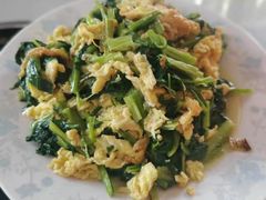 -中原农家乐(中原饭店)