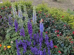 -人民公园(罗湖区)