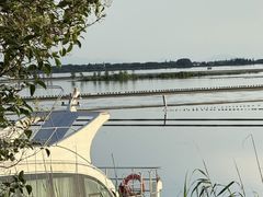 -滆湖低碳生态公园