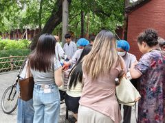 -洛阳白马寺