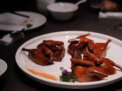 -粤凤佬