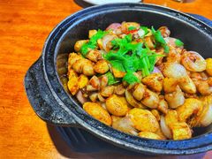 生嗜生肠-泮金大塘(北二七路店)