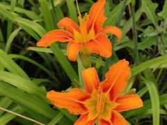 -天津东丽湖风景区