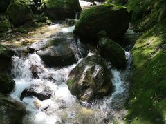 -牛背梁国家森林公园