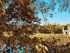 -东湖落雁景区
