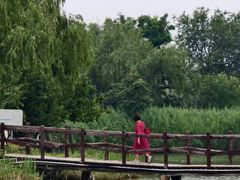 -西青郊野公园