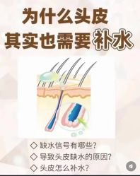 -Bollins波林丝•专研护发中心