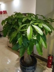 -苑苑发型设计