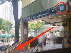 -龙丰药粧(上水新康街66号店)