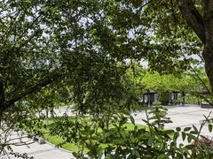 -洋湖国家湿地公园