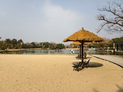 -上海佘山世茂艾美酒店