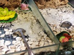 -大山炭火烤肉自助(印象城店)