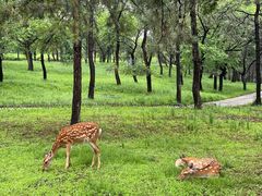 -承德避暑山庄景区
