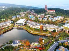 -铁山坪森林公园