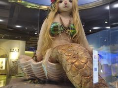 -成都泰迪熊博物馆