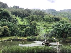 -瑞穗牧场