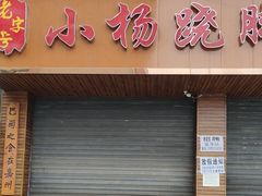 -小杨翘脚牛肉