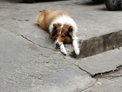 -地王国际商会中心